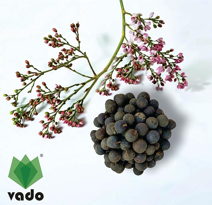 Nature-Blessed Pure Rudraksha Fruits – 12 Pieces(100% Original & High Quality) At Just 499/-